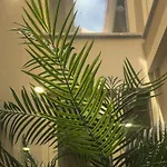 Rua Grande Hotell 2*